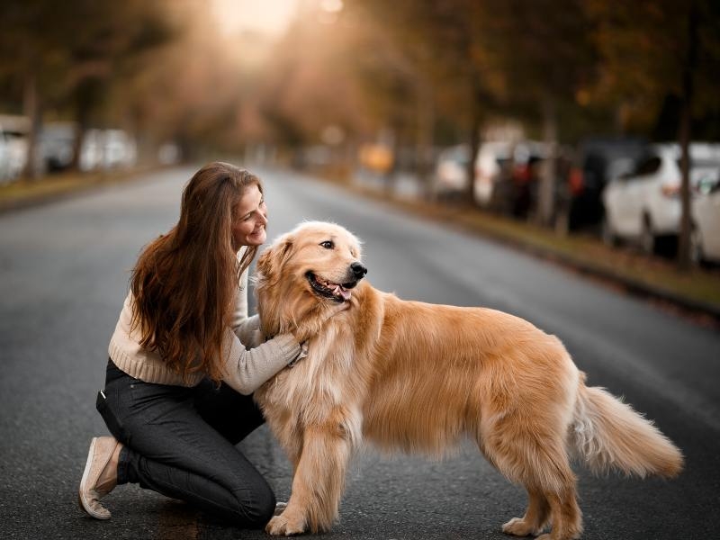 Por que Cremar seu Cachorro? Vantagens da Cremação de Cachorros