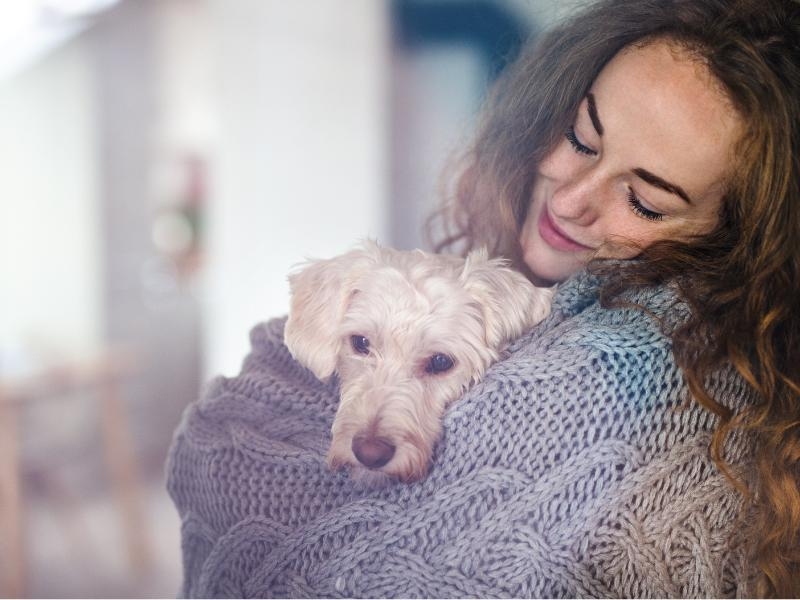 Cremação Pet Individual e Assistida: Acompanhe a Despedida do seu Pet até o Final