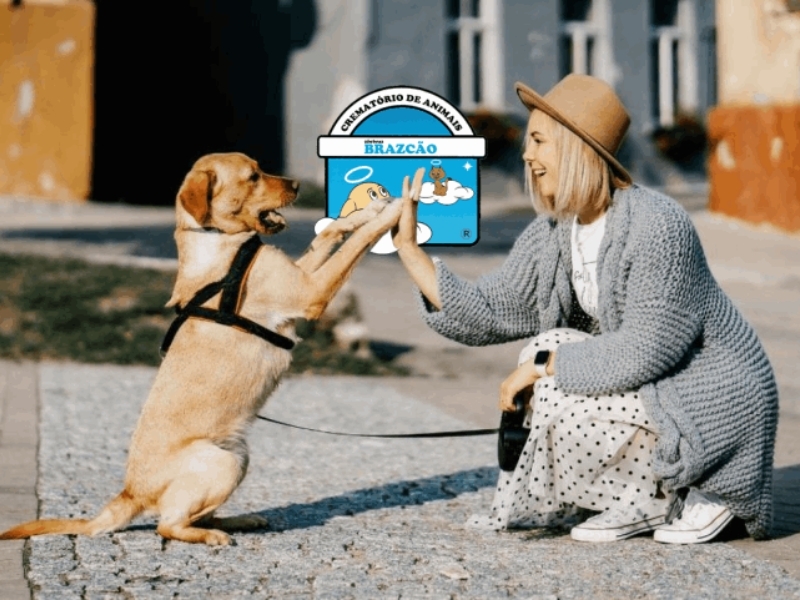 Cremação Pet Assistida em Sapucaia do Sul - RS