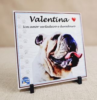 Azulejo Decorativo Pet