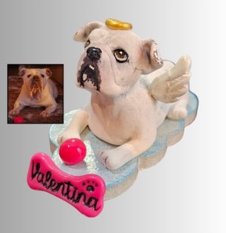 Miniatura Pet Biscuit