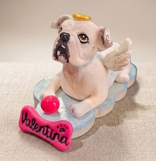 Miniatura Pet Biscuit
