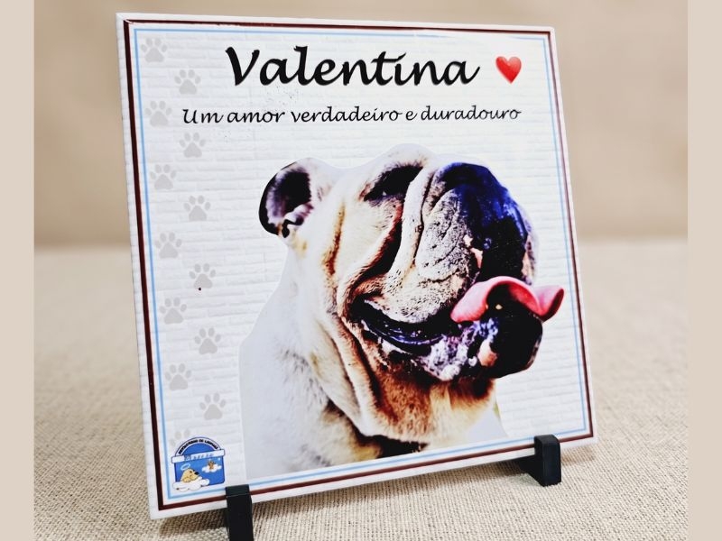 Azulejo Decorativo Pet