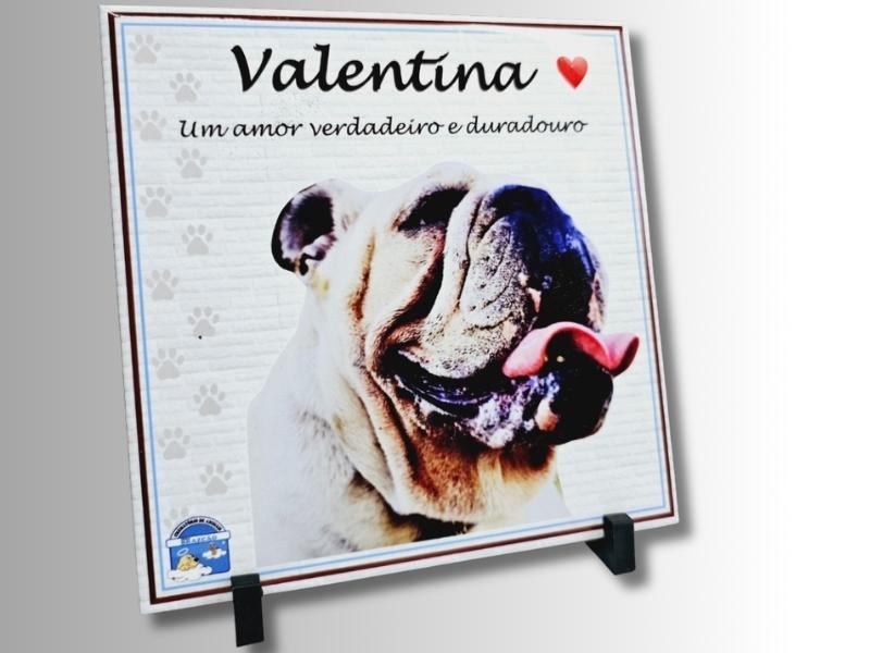 Azulejo Decorativo Pet